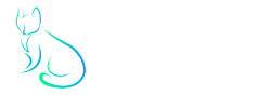 Logo HomePipo