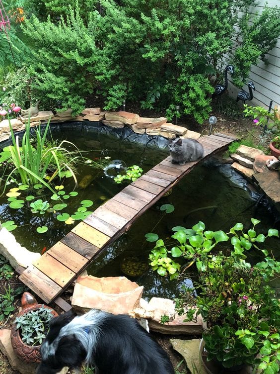 We selected a variety of non-toxic, pet-safe plants that thrive in Florida’s climate, ensuring the garden stays vibrant without posing any risk to the cats.