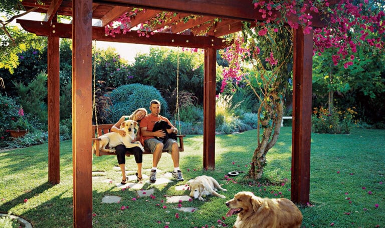 Design The Ultimate Pet-Friendly Garden. Beautiful pet-friendly garden featuring lush greenery, secure fencing, and a cozy outdoor space designed for both pets and their owners to enjoy.