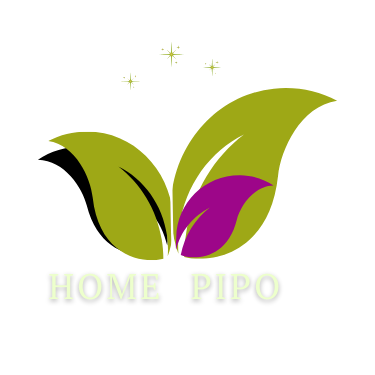 TheHomePipo