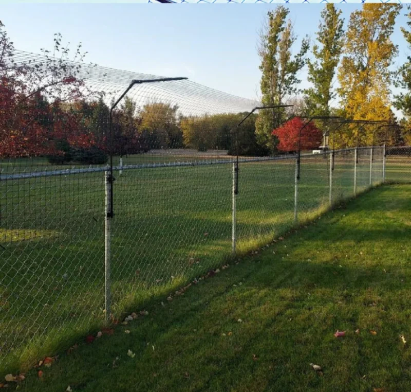 Creating Safe and Stylish Outdoor Spaces for Your Beloved Pets