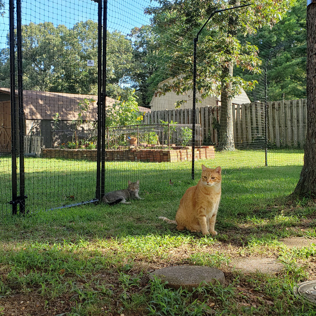 Pet Fence Installation: 100% Reliable and Secure Solutions for Your Peace of Mind. Secure and durable pet fence providing a safe outdoor space for pets to play and explore, designed to blend seamlessly with your yard.