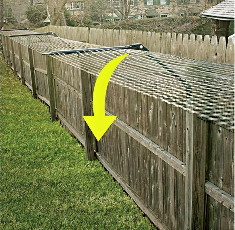 Existing Fence Conversion System Kits for Cats - Image 6