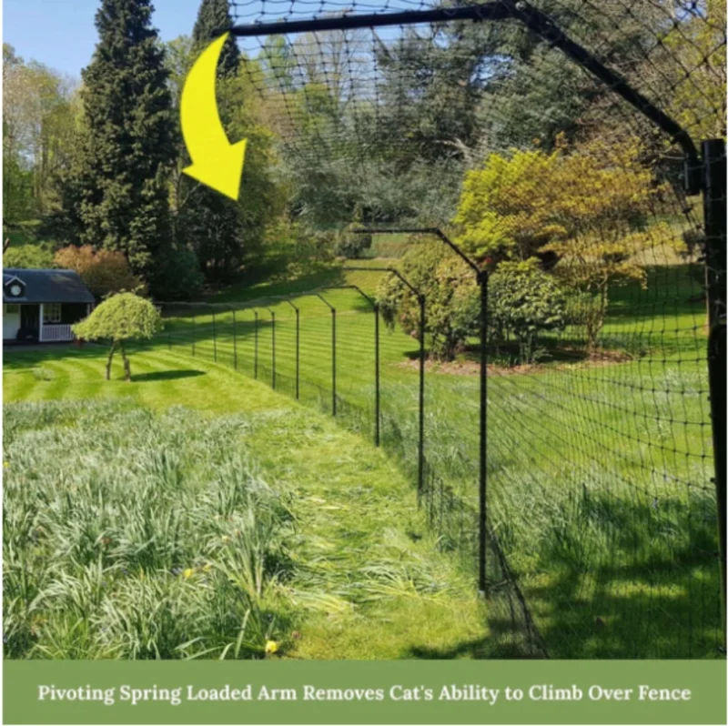 Free-Standing Cat Fence Enclosure System 2 Happy dog playing safely in a fenced yard, enjoying the outdoors with a secure and visible barrier.