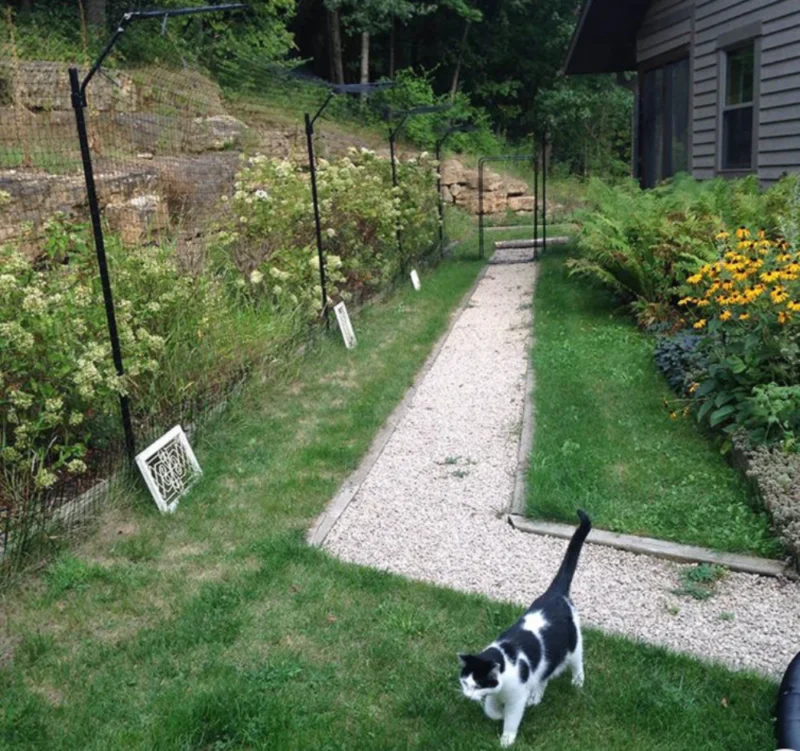 Free-Standing Cat Fence Enclosure System 3 Free-Standing Cat Fence Enclosure System - Image 3