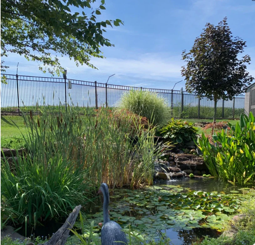 This service is perfect for Pet Owners who want to provide their furry friends the freedom to enjoy the outdoors while ensuring their safety.