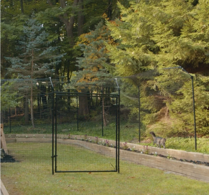 Free-Standing Cat Fence Enclosure System 4 Creating Safe and Stylish Outdoor Spaces for Your Beloved Pets