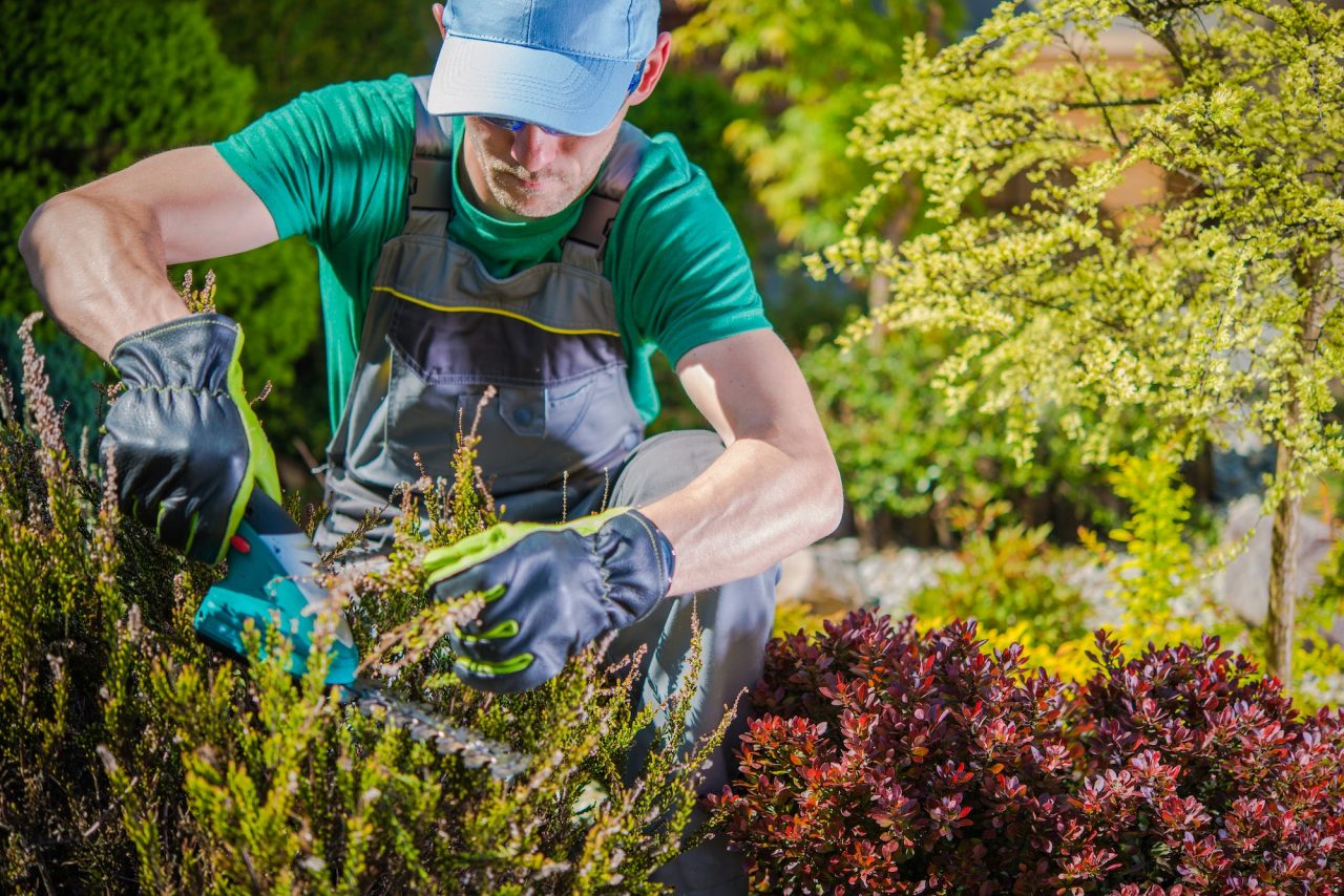 Expert Lawn & Garden Care Services for a Lush, Vibrant Outdoor Space