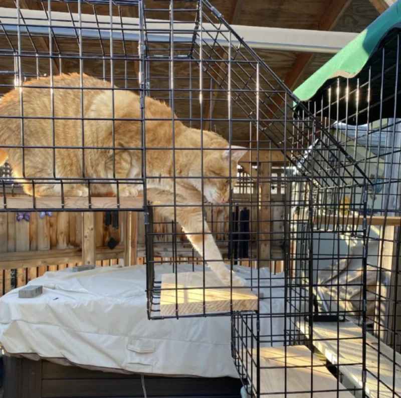 2 Step Stairs - Bottom Left - Image 3