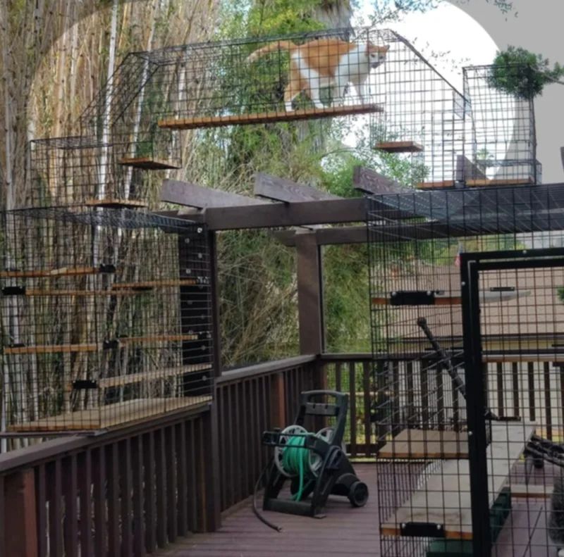 Bridge - Same Side Access - Image 4