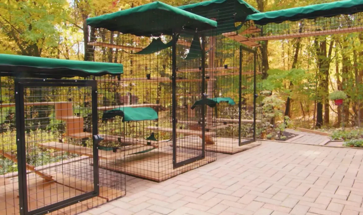 The Ultimate Guide to Creating Luxurious Catios for Your Feline Friends