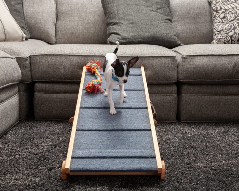 Dog-Proofer Indoor Pet Ramp designed to provide safe and easy access for pets to higher surfaces indoors, offering a durable and pet-friendly solution.