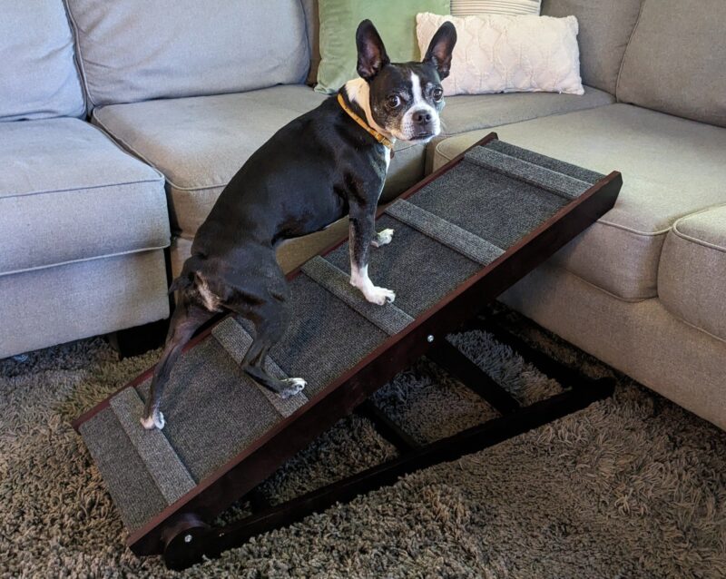 Dog-Proofer Indoor Pet Ramp designed to provide safe and easy access for pets to higher surfaces indoors, offering a durable and pet-friendly solution.