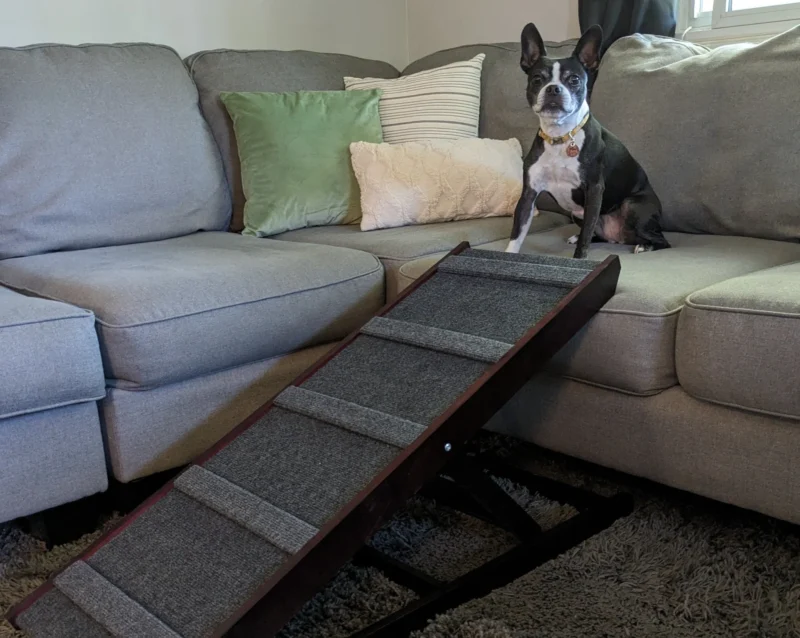 Dog-Proofer Indoor Pet Ramp designed to provide safe and easy access for pets to higher surfaces indoors, offering a durable and pet-friendly solution.