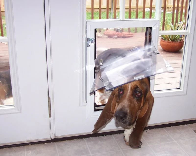 Dog Door - Door Model designed for easy access for your pet, providing a secure and durable solution for allowing your dog to enter and exit freely through the door.