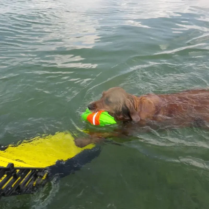 Fiberglass Boat Dog Ladder designed for easy and safe access for dogs to enter and exit the water, providing a sturdy, dog-friendly solution for boating adventures.