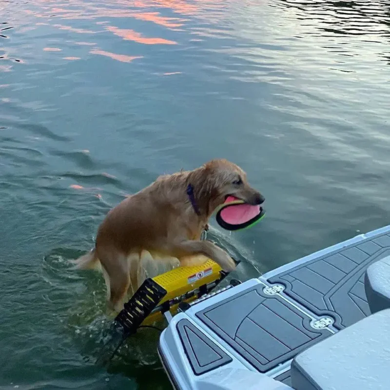 Fiberglass Boat Dog Ladder designed for easy and safe access for dogs to enter and exit the water, providing a sturdy, dog-friendly solution for boating adventures.