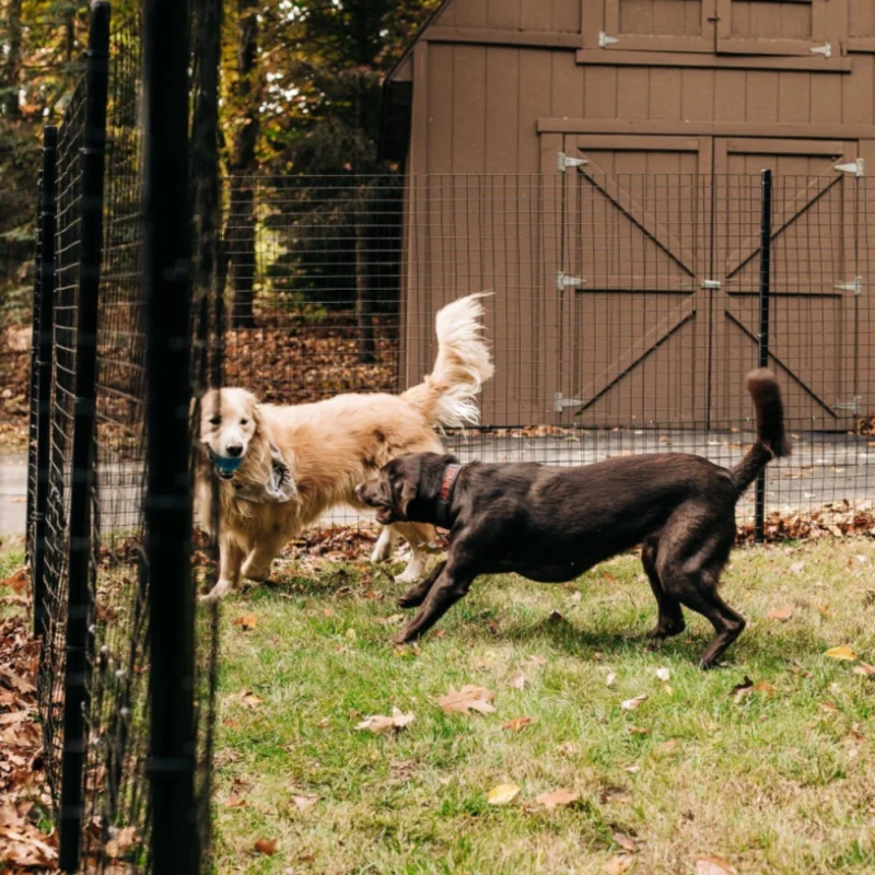 Dog Fence ensuring a protected yard, keeping pets safe while they enjoy outdoor activities. The Freestanding Dog Fence System providing a secure and portable solution for creating safe, enclosed spaces for pets, easy to set up and relocate.