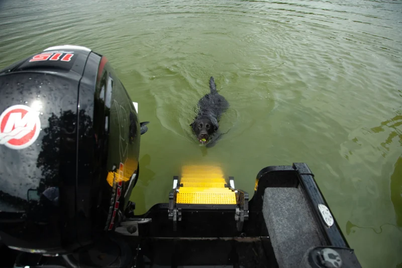 Hunting Boat Dog Ladder designed for safe and easy entry and exit for dogs on hunting boats, offering a durable and dog-friendly solution for outdoor water activities.