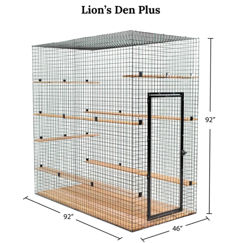Lion's Den Series (Three & Four Sided Options) - Image 16