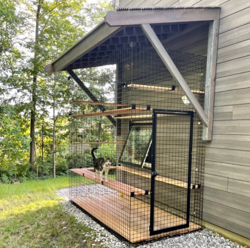 Lion's Den Series (Three & Four Sided Options) - Image 2