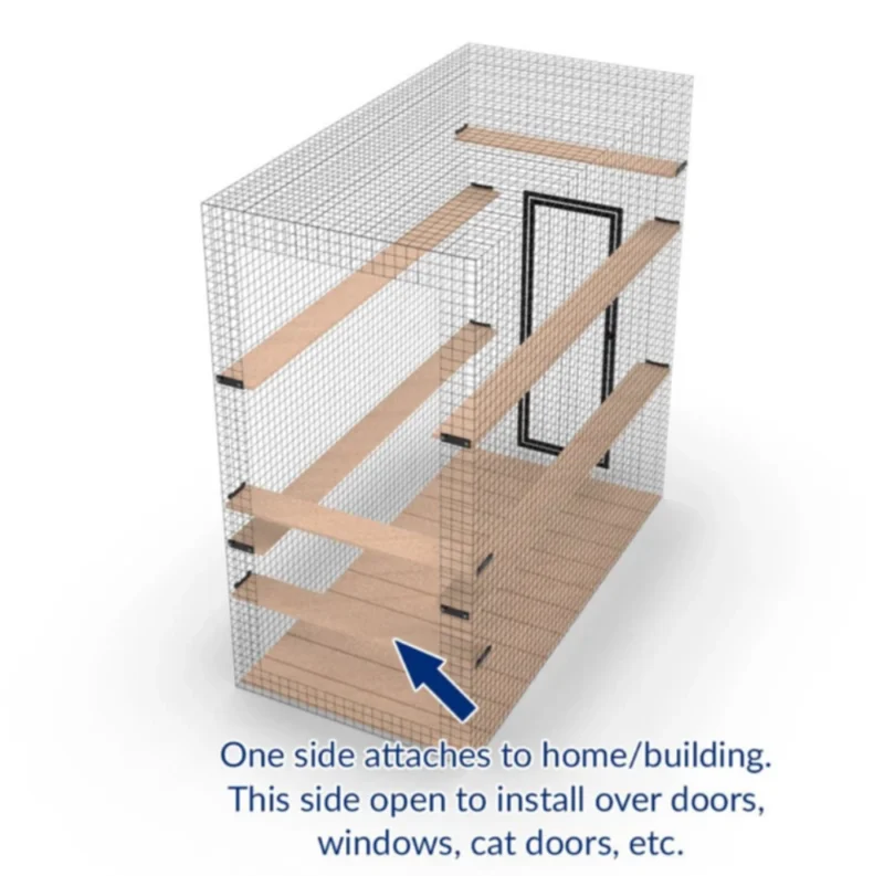 Lion's Den Series (Three & Four Sided Options) - Image 6