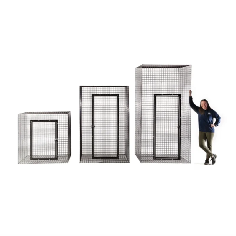 My Own Den Series - Image 5