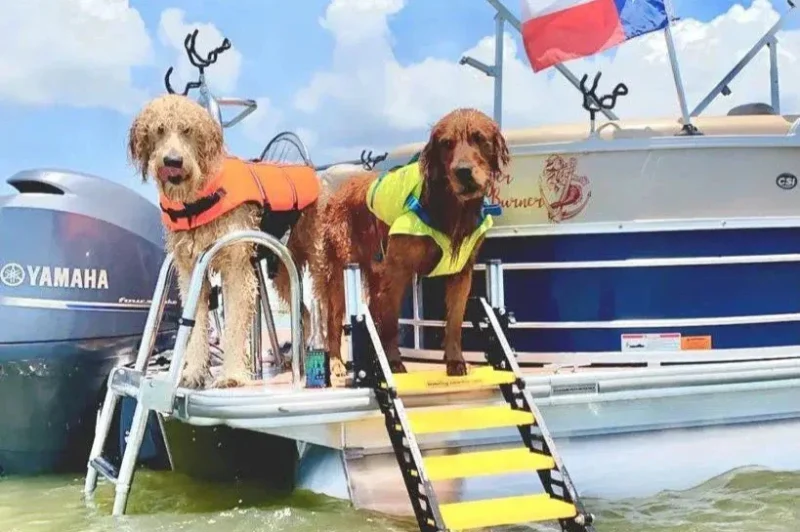 Pontoon Boat Dog Ladder designed for easy and safe access for dogs to enter and exit pontoon boats, providing a stable and dog-friendly solution for water activities.