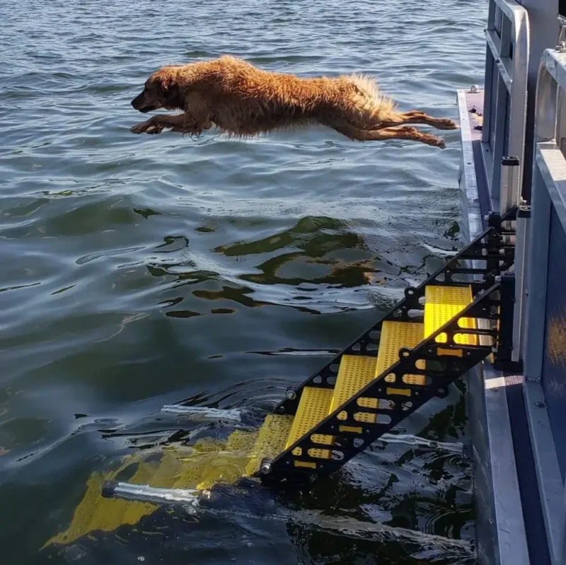 Pontoon Boat Dog Ladder designed for easy and safe access for dogs to enter and exit pontoon boats, providing a stable and dog-friendly solution for water activities.