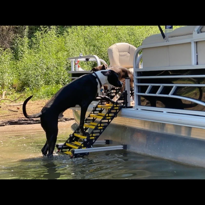 Pontoon Boat Dog Ladder - Image 7