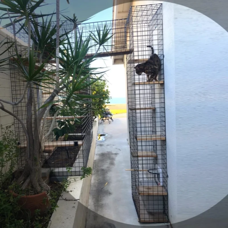 Catio Tower - Bottom Left Single Entry/Exit Point - Image 2