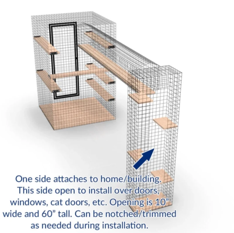 Cat Walk Series - Image 3