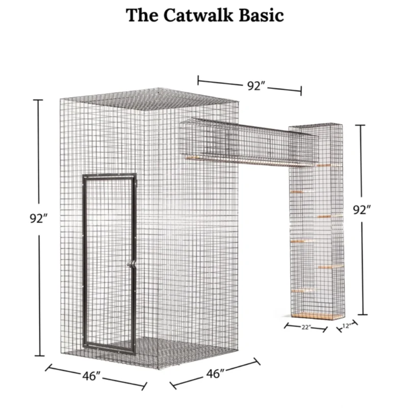 Cat Walk Series - Image 10