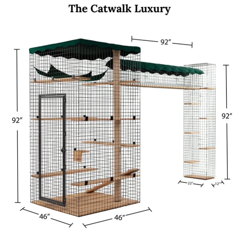 Cat Walk Series - Image 12