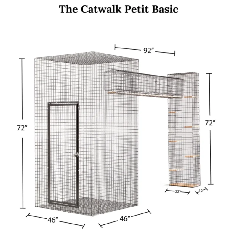 Cat Walk Series - Image 7