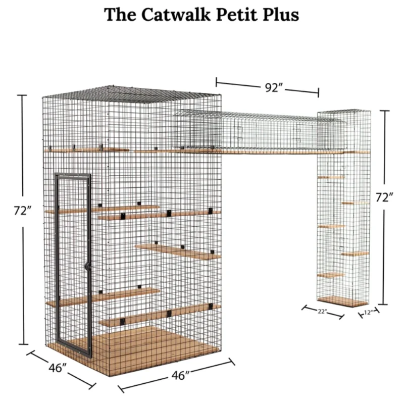 Cat Walk Series - Image 8