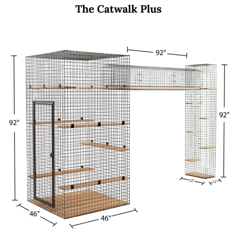 Cat Walk Series - Image 11