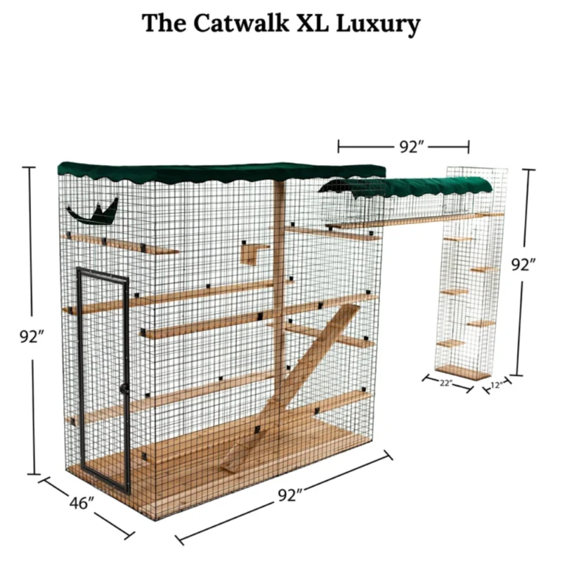 Cat Walk Series - Image 15