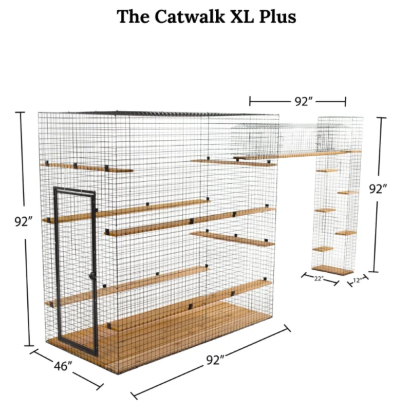 Cat Walk Series - Image 14