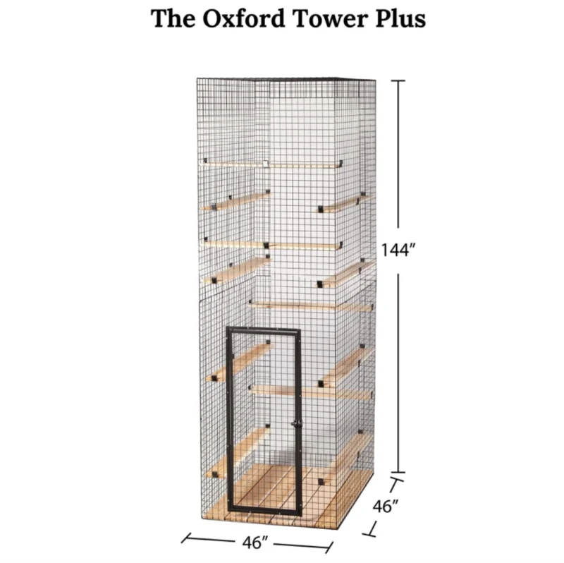 Oxford Tower 5 Oxford Tower - Image 5