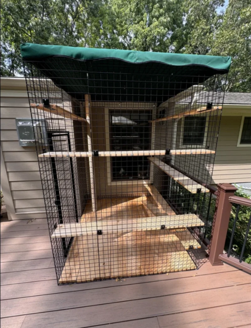 Three Sided Enclosure - With Wire Mesh Floor - Image 5