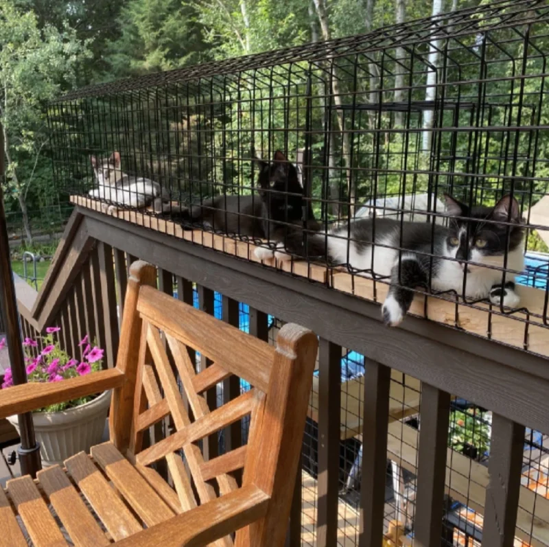 Tunnel - Standard 6 Tunnel - Standard - Image 6