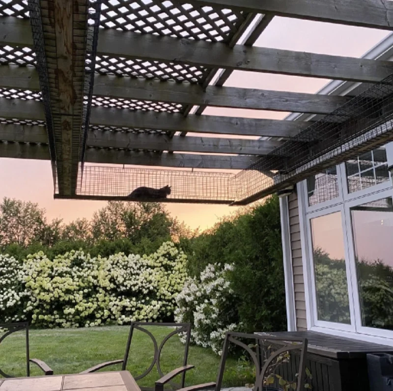 Tunnel - Standard 5 Enclosed catio tunnel connecting the house to an outdoor play area, providing a safe pathway for cats to explore.