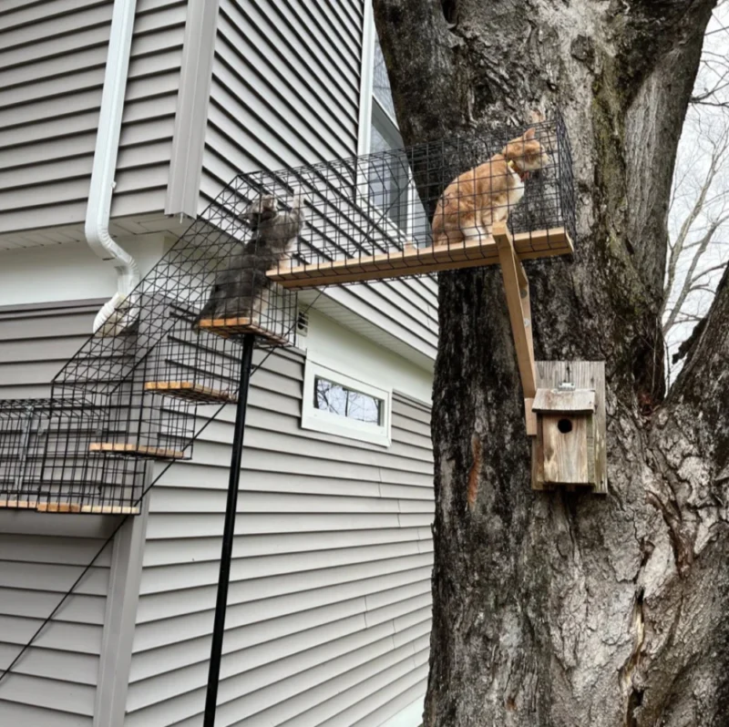 Tunnel - Standard 3 Tunnel - Standard - Image 3