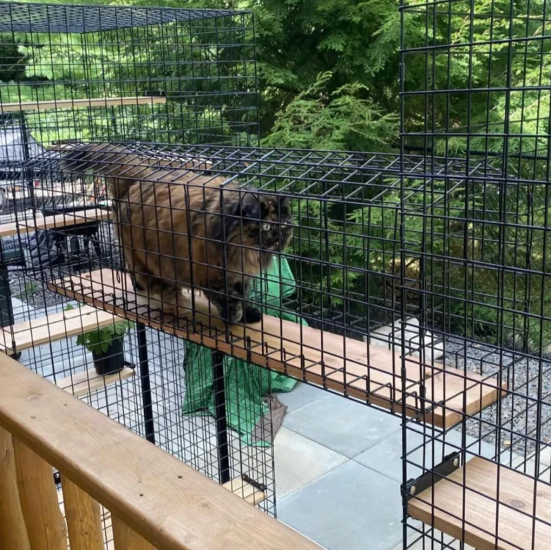 Tunnel - Standard 10 Tunnel - Standard - Image 10