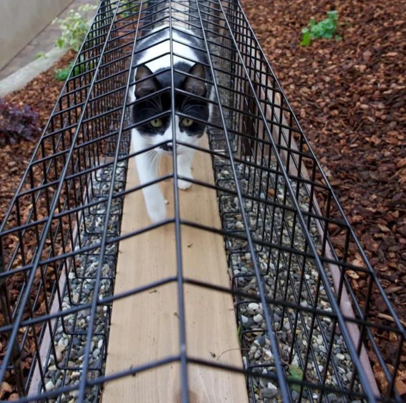 Tunnel - Standard 8 Tunnel - Standard - Image 8