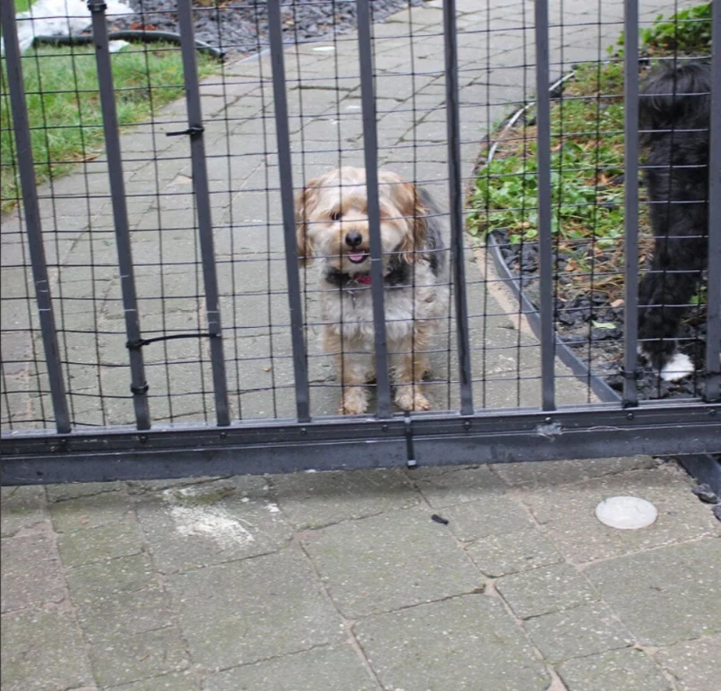 Fence Gap Blocker Kit for Pets - Image 5