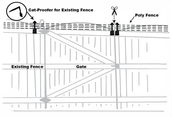 Existing Fence Conversion System for Shorter Fences Kits 7 cat proofer gate closed