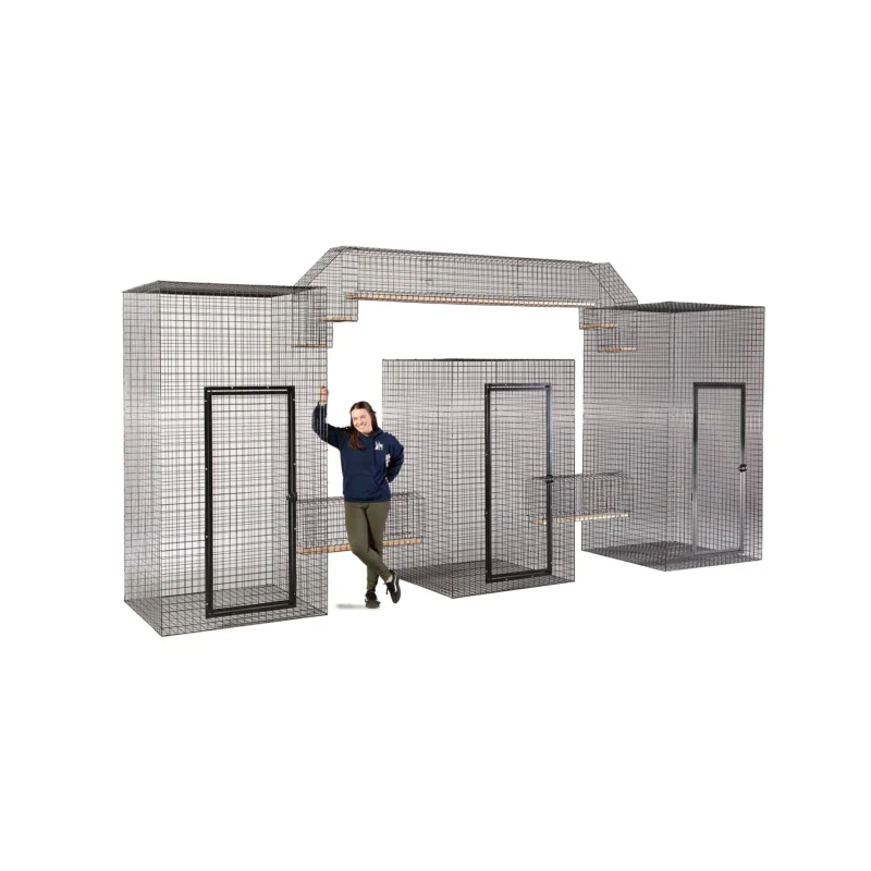 The Overlook Series - Image 5