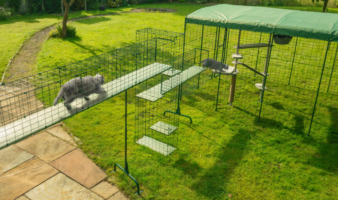 Catio Enclosures for Protecting Cats Outside